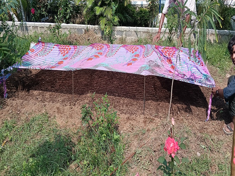 project