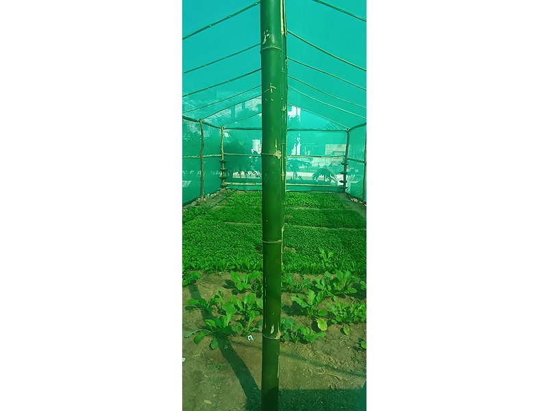 project